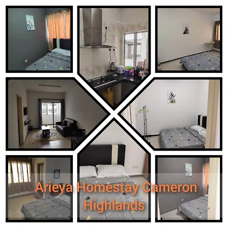 Arieya Homestay Cameron Highlands Dış mekan fotoğraf