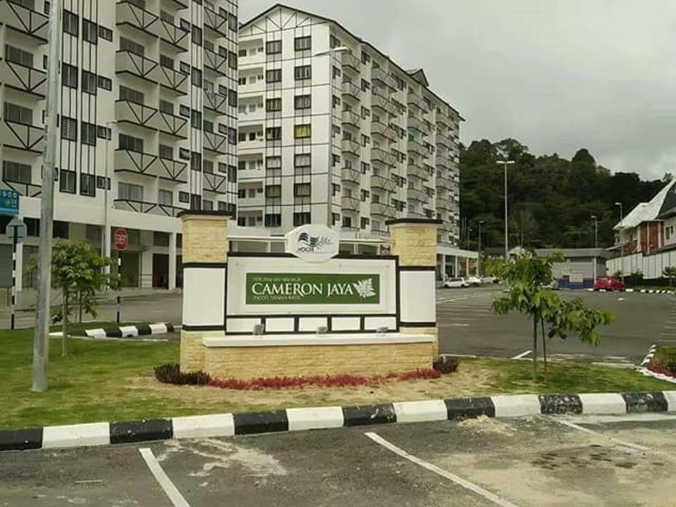 Arieya Homestay Cameron Highlands Dış mekan fotoğraf